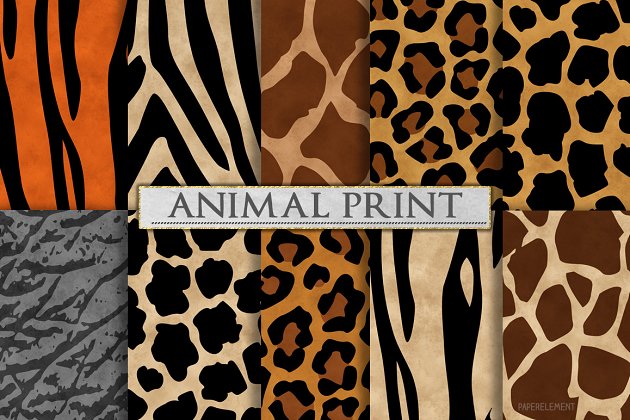 动物斑点花纹创意素材 Animal Print Patterns – Zebra Print