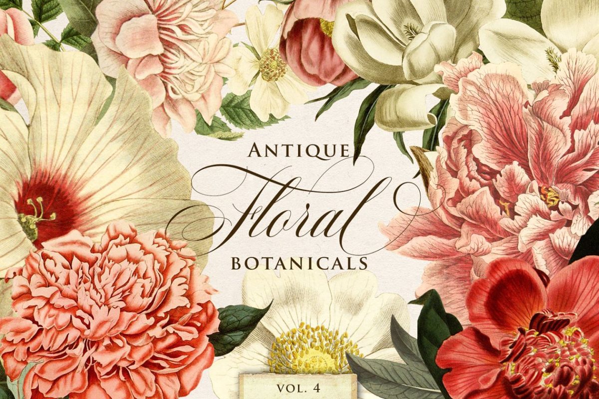 古典植物花卉图形 Antique Floral Botanical Graphics 4