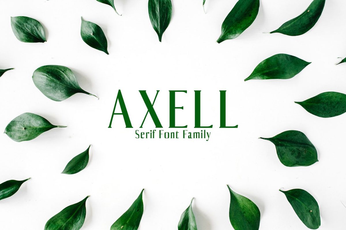 时尚设计字体 Axell Serif 4 Font Family Pack