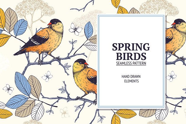 春季鸟类花卉插画 Spring Birds Pattern
