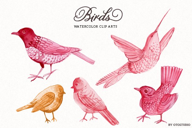 水彩鸟插画素材 Watercolor Bird Illustrations