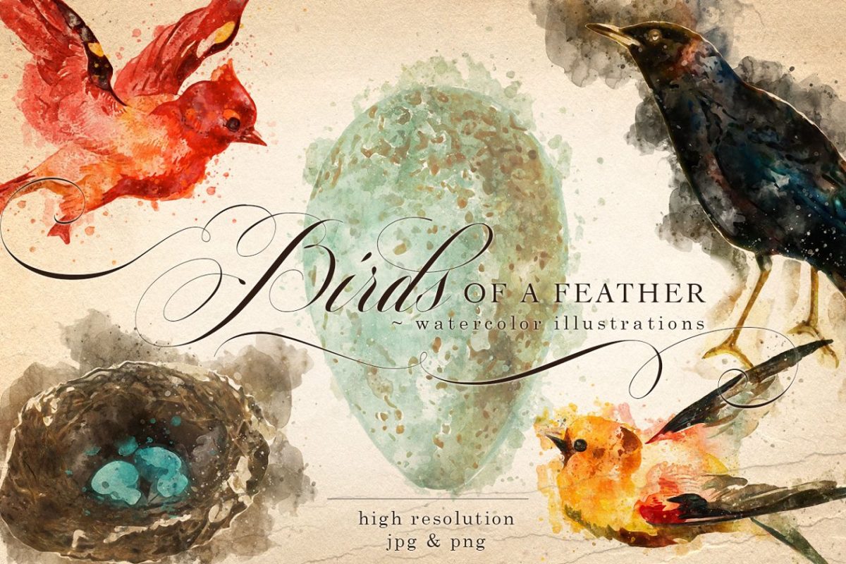复古水彩鸟羽插画元素 Birds of a Feather Watercolors