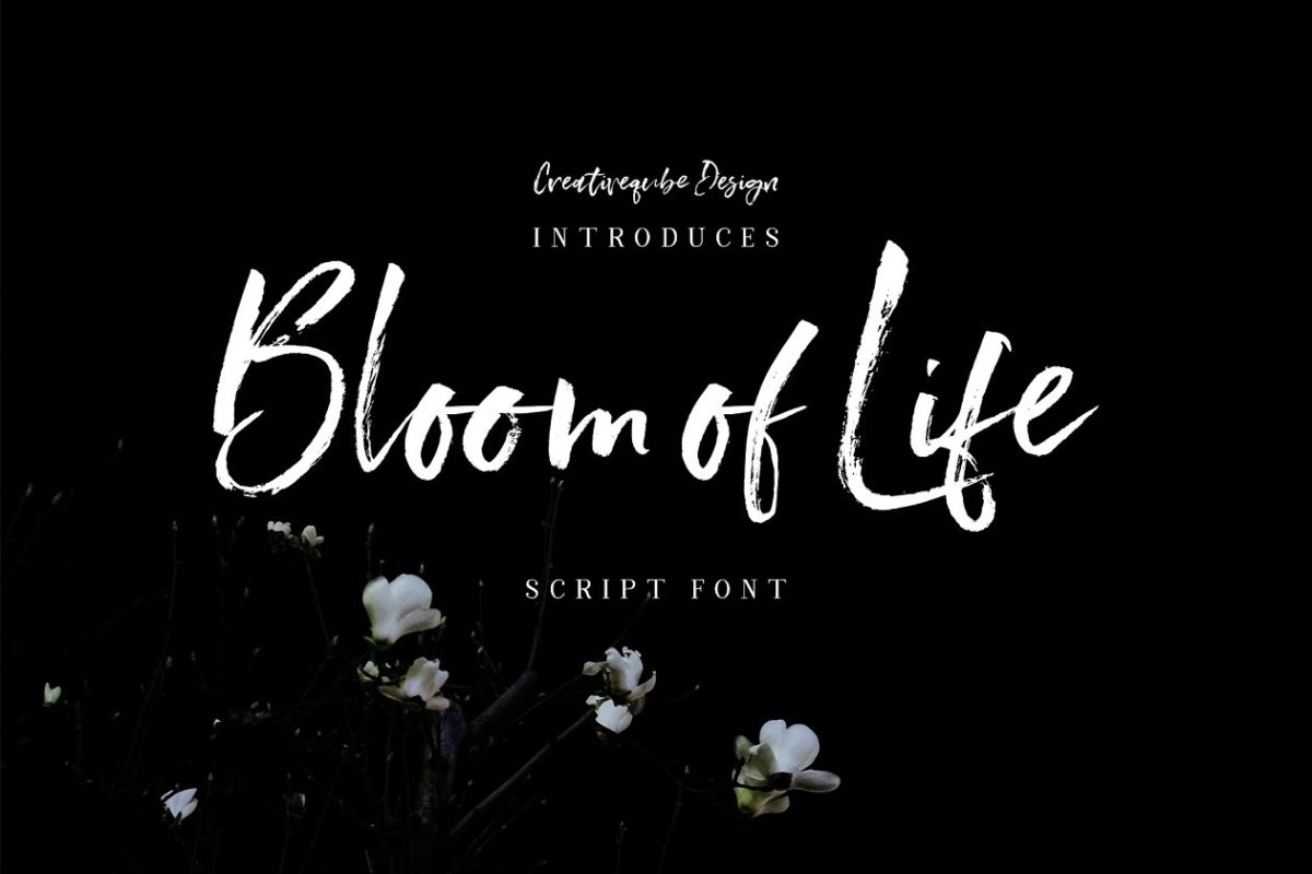 手写笔刷字体 Bloom of Life Script font