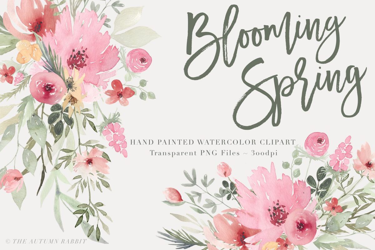水彩花卉插画 Blooming Spring – Watercolor Flowers