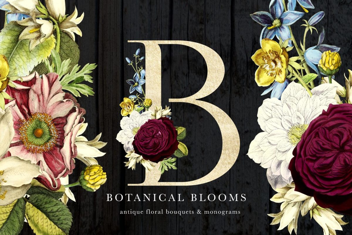 字母花饰字母组合 Botanical Blooms & Monograms