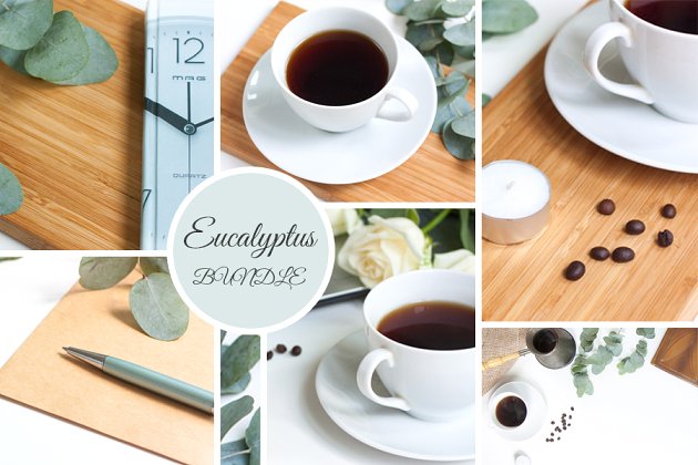 商业咖啡场景的样机 Eucalyptus BUNDLE for business