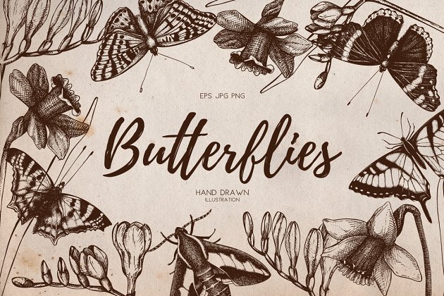 矢量素描花卉插画 Vector Butterfly & Flowers Set