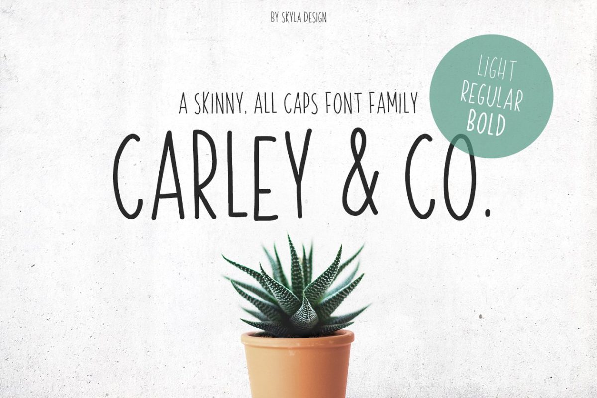 清新文艺的字体 Carley & Co. Skinny Font family
