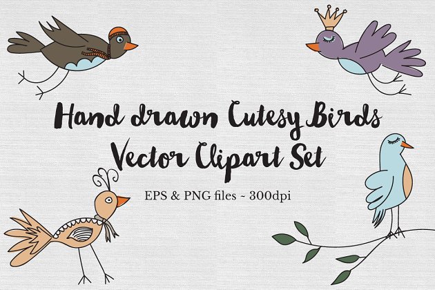 可爱的手绘鸟插画素材 Hand drawn cutesy birds Vector set