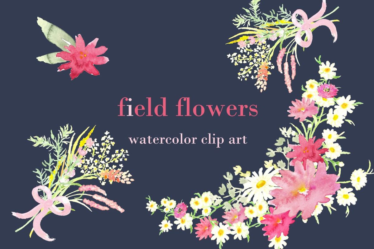 田野花卉水彩剪贴画 Field Flowers watercolor clip art