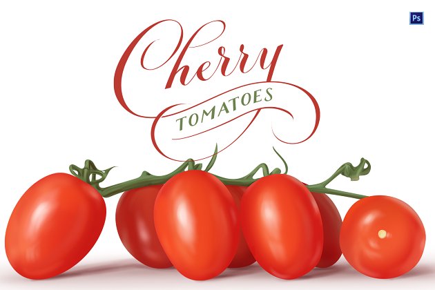 樱桃番茄插画 Cherry Tomatoes Hi-Res PSD