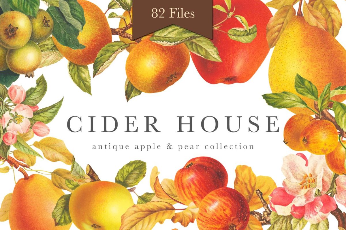 水果插画素材集 Cider House Apple & Pear Graphics