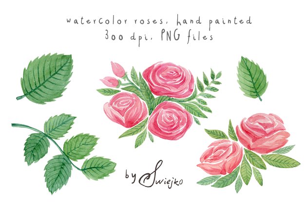 清新水彩的玫瑰花素材 Watercolor Roses