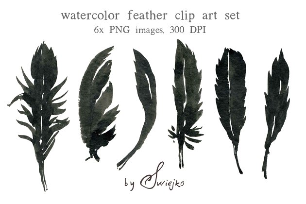 水彩羽毛 Watercolor Feather