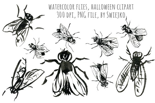 水彩苍蝇剪贴画 Watercolor Flies, halloween