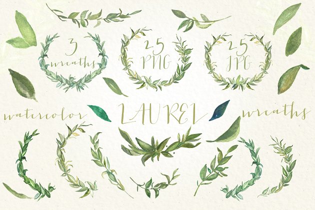 月桂叶花环插图 Laurel foliage wreaths illustrations
