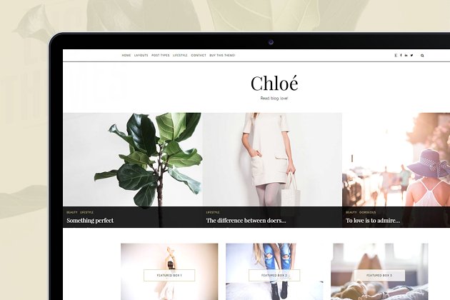 经典博客皮肤网站模板 Classic WordPress Theme – Chloe