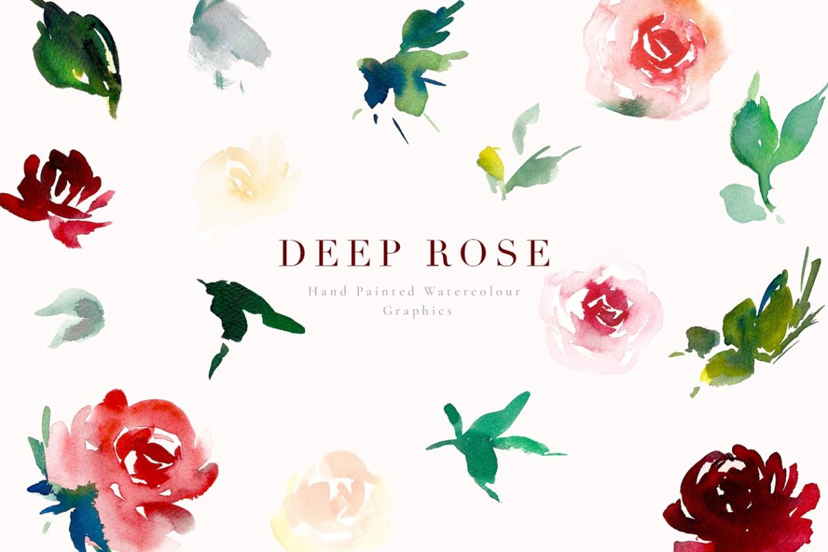 水彩深色玫瑰插画 Watercolour Flowers – Deep Rose