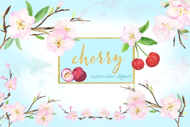 水彩樱桃花卉插画 Cherry flowers. Waterolor clipart.