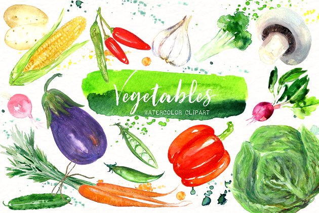 蔬菜素食水彩插画 Vegetables. Vegan Watercolor clipart
