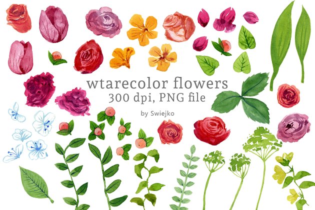 独立的水彩花卉素材包 Watercolor Flowers