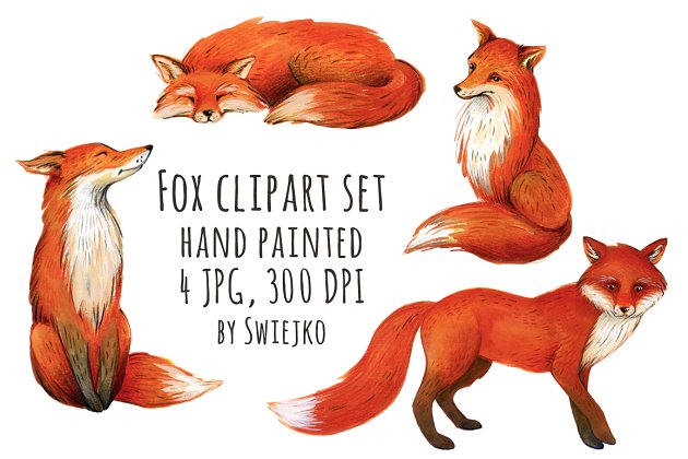 狐狸插画 Fox illustration, clipart
