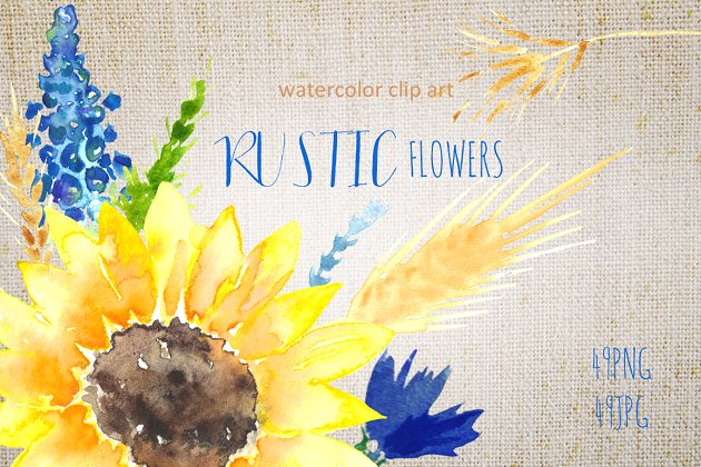 向日葵水彩logo设计 Sunflowers rustic watercolor clipart