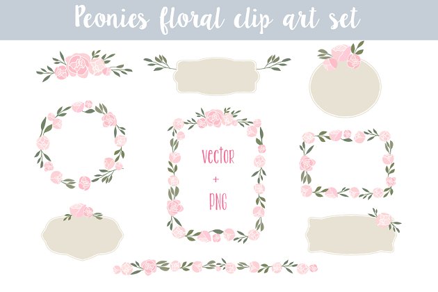 月季插画素材 Peonies Floral clip art set 2