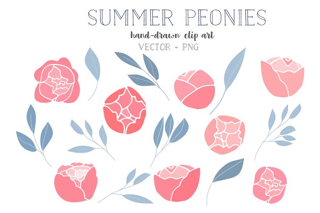 夏季花卉插画 Summer peonies clip art