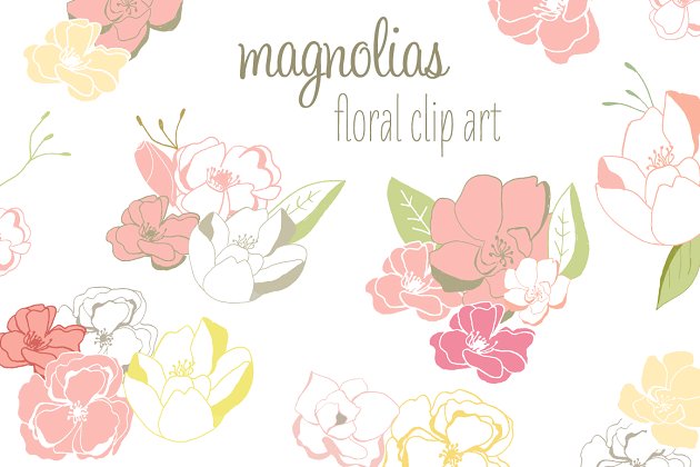 木兰花素材 Magnolia Clip Art