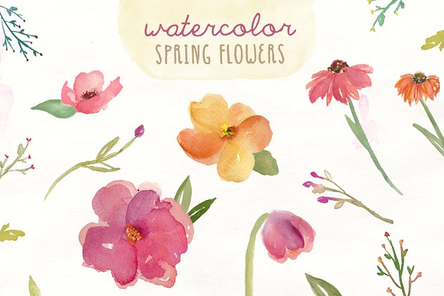 春天水彩花卉素材 Watercolor Spring Flowers
