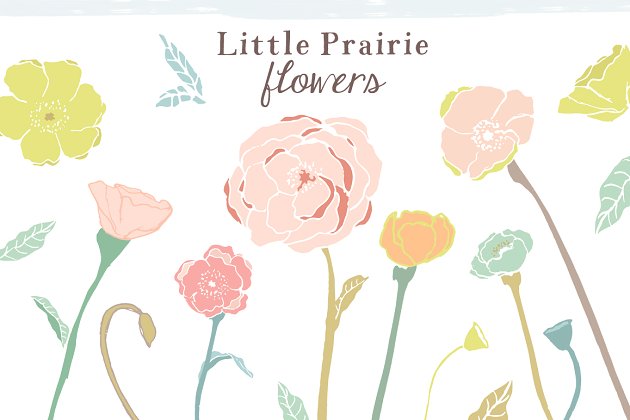 草原花卉剪贴画 Prairie Flowers Clip Art