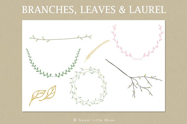 叶子和月桂树图形 Clip Art Branches, Leaves & Laurel