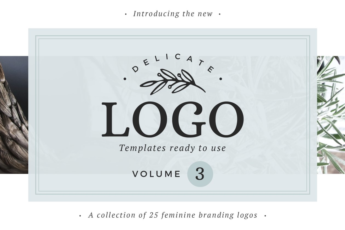 商标logo素材模板 Delicate Logos – Volume 03