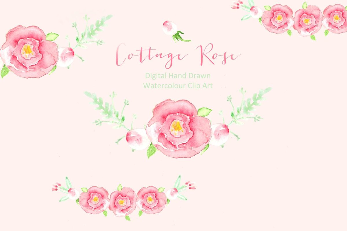 水彩玫瑰素材 Cottage Roses Watercolor clipart