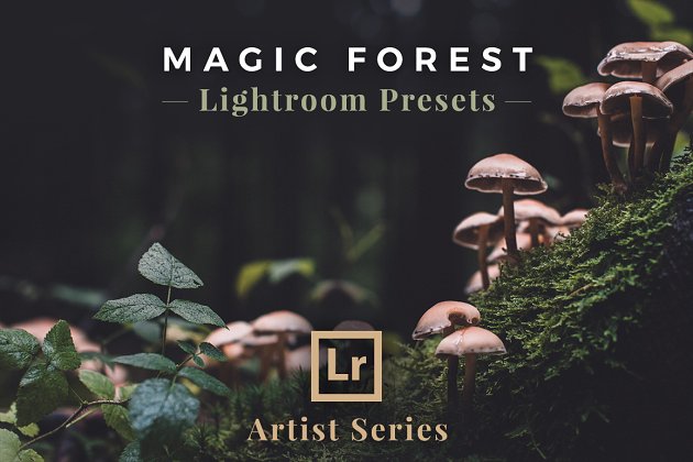 魔幻效果的LR预设文件 Magic Forest, Lightroom Presets