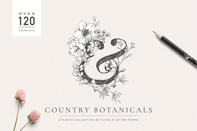 植物字母组合插图 Botanical Illustrations & Monograms