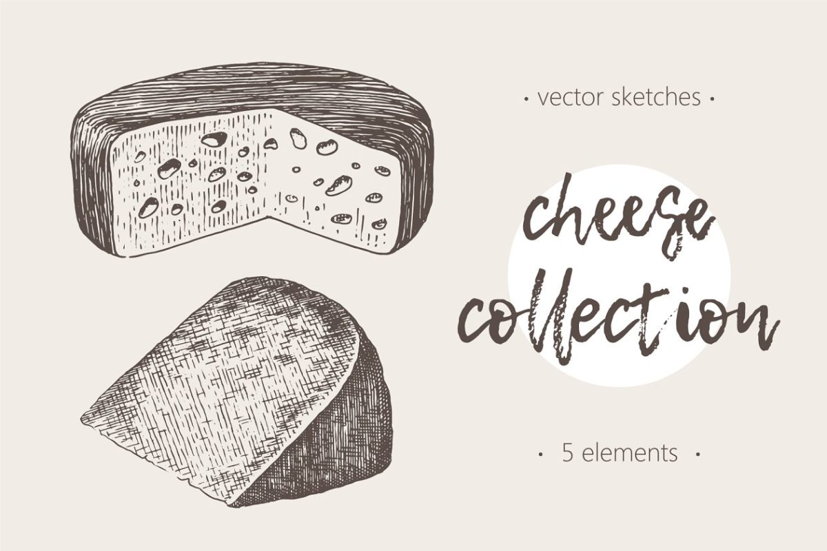 奶酪素描插画 Collection of cheese illustrations