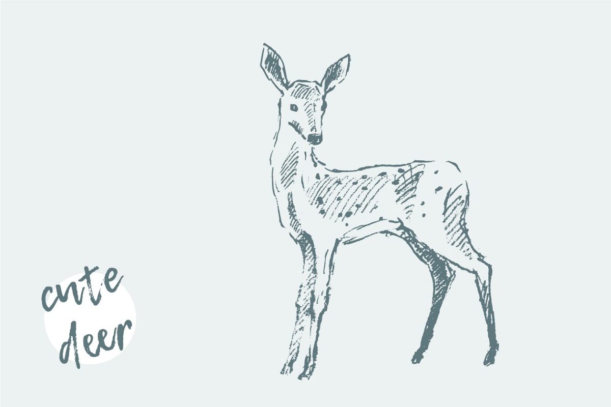 手绘鹿素描插画 Sketch of a deer