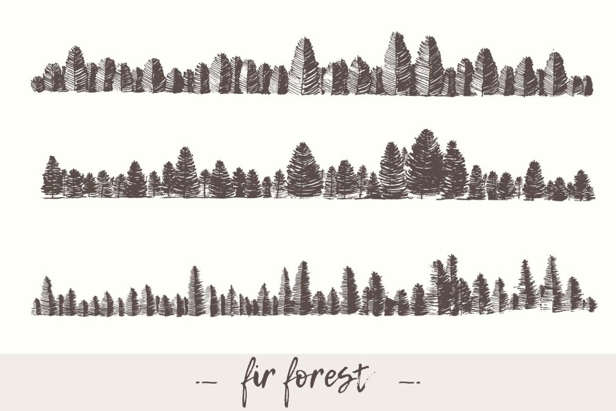 森林素描插画 Fir forest backgrounds