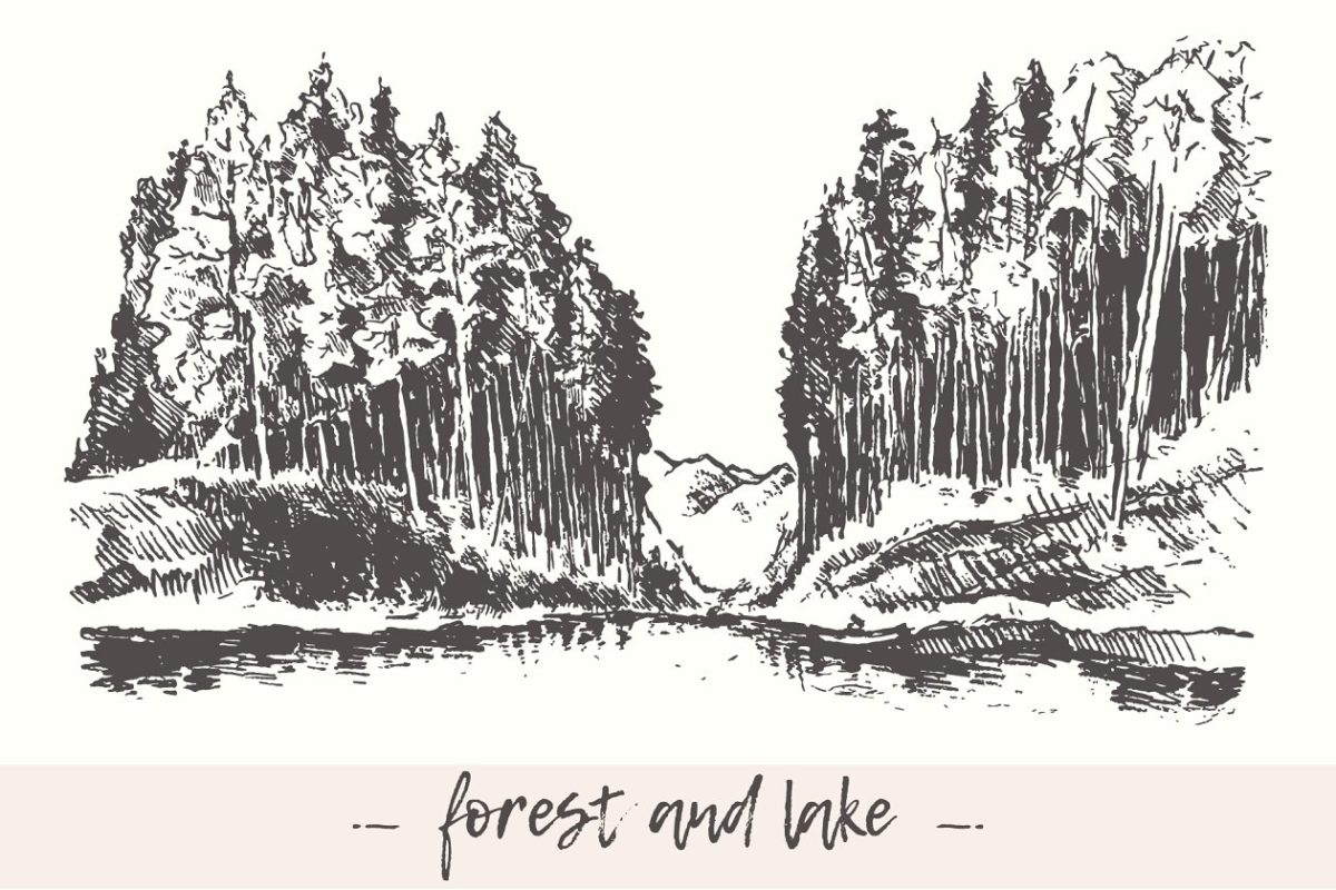 森林素描插画 Landscape with forest and lake