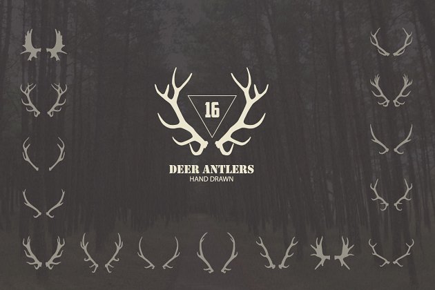 鹿角素材插画 16 Deer Antlers Vector Pro