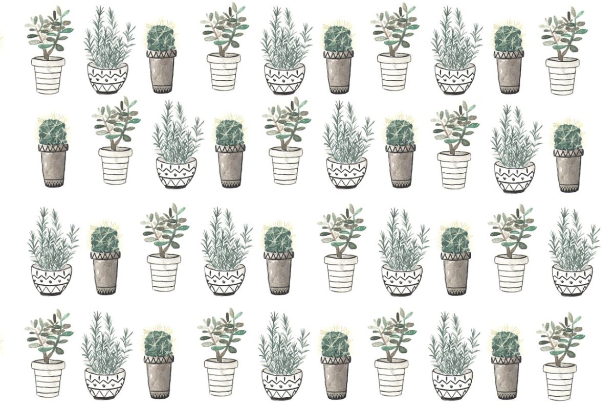 绿植素材插画 Cactus, rosemary and crassula