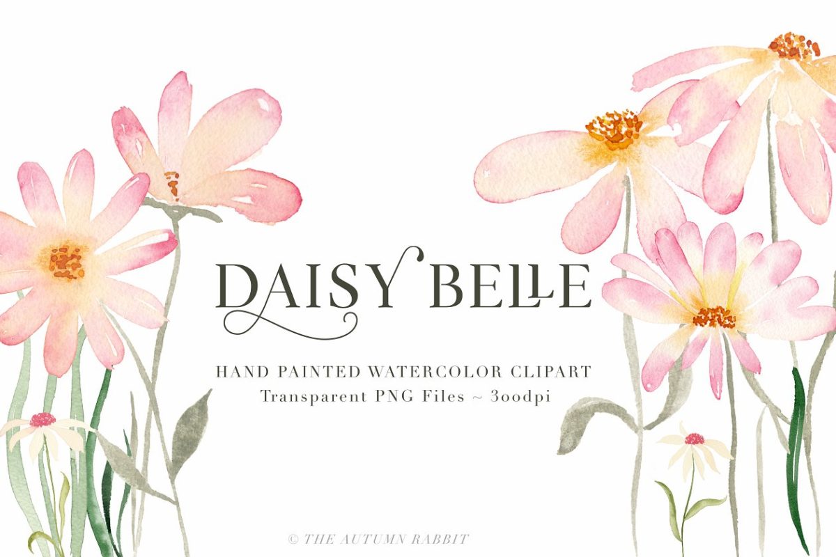 水彩花卉插画 Daisy Belle – Watercolor Flowers