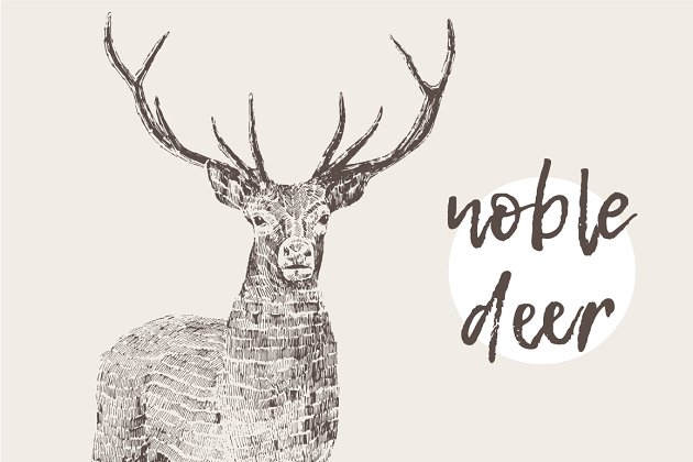 一头高尚的鹿插画 Illustration of a noble deer