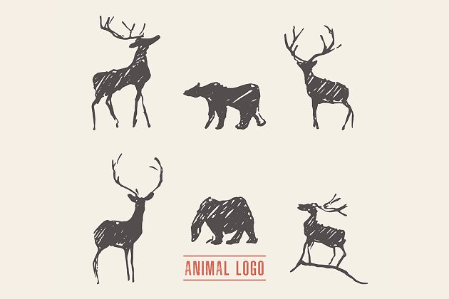 鹿熊素描插画 Deer and bears for a logotype