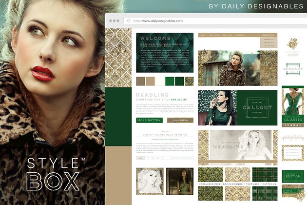 StyleBox博客图形/网站工具包3 StyleBox Blog Graphics/Website Kit 3