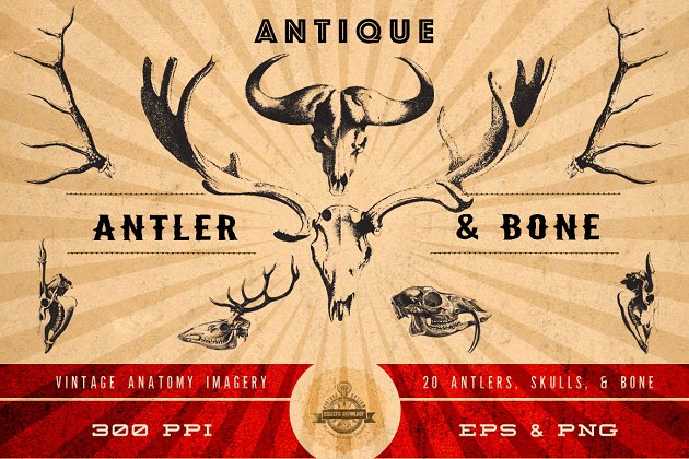 怀旧鹿角插画素材 Antique Antler & Bone Graphics