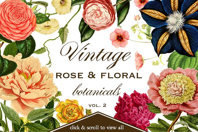 经典玫瑰花卉素材合集 Vintage Rose & Floral Botanicals 2