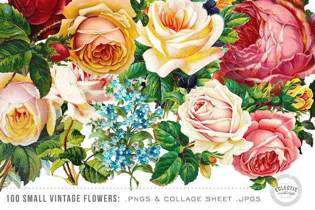 复古花卉图案 100 Small Vintage Flower Graphics